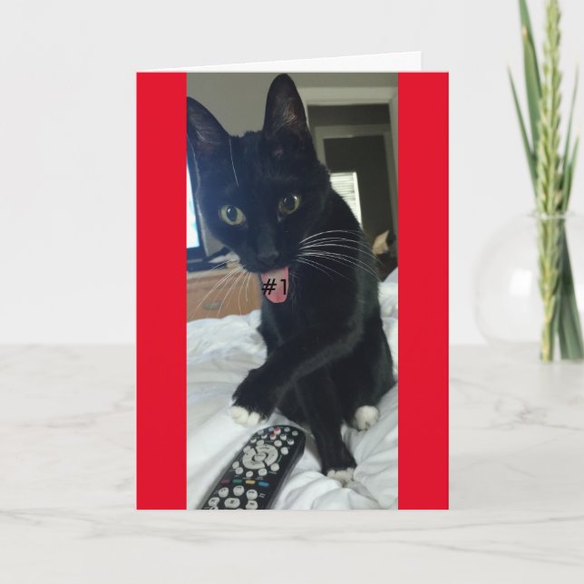 game invitation  remote cat funny (Front)