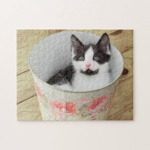 Game Puzzle-Kitten Jigsaw Puzzle