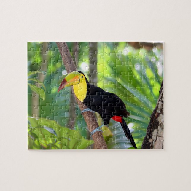 Game Puzzle Tropical Bird (Horizontal)