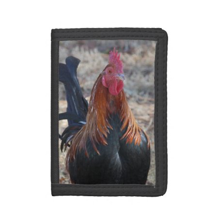 Game Rooster Photo Trifold Wallet