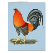 Gamecock Blue Red Rooster (Front)