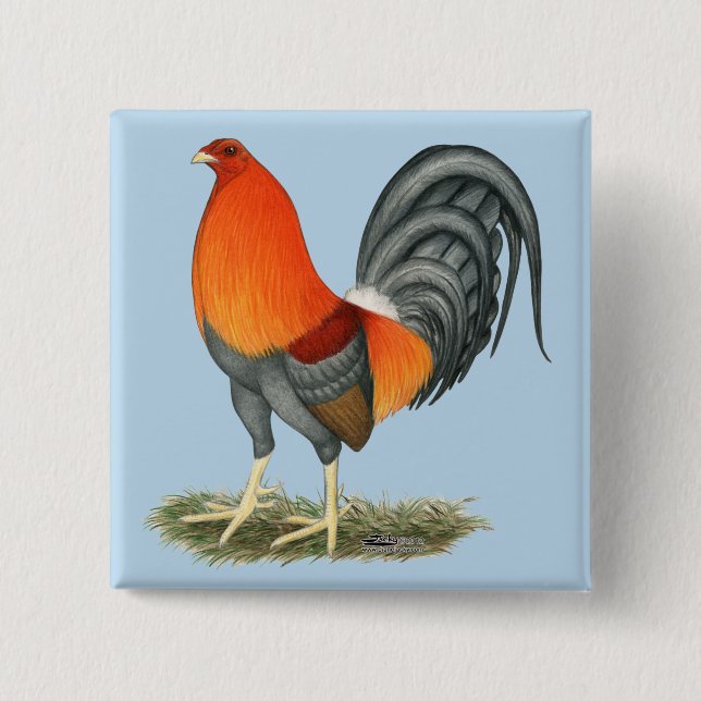 Gamecock Blue Red Rooster Button (Front)