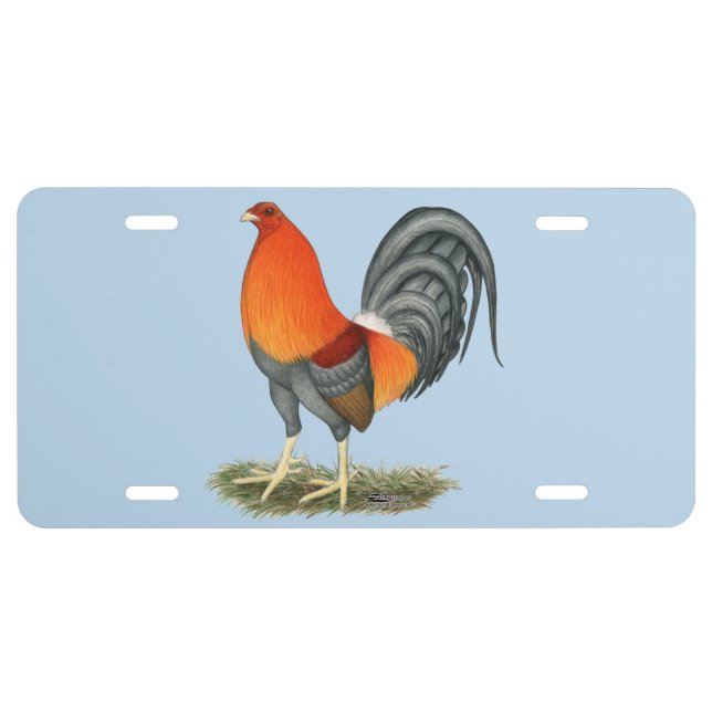 Gamecock Blue Red Rooster License Plate (Front)