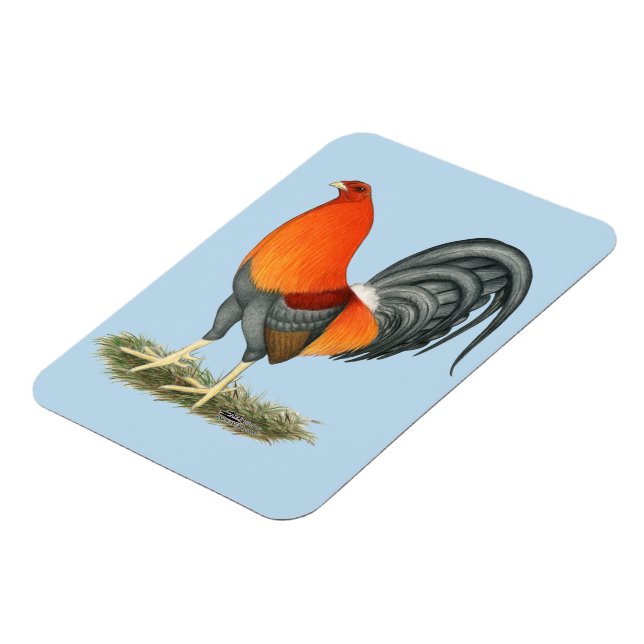 Gamecock Blue Red Rooster Magnet (Left Side)