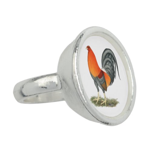 Gamecock Blue Red Rooster Ring