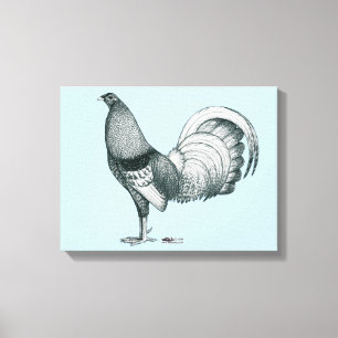 Gamecock Crele or Dom Canvas Print