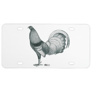 Gamecock Crele or Dom License Plate