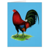 Gamecock:  Dark Red (Front)