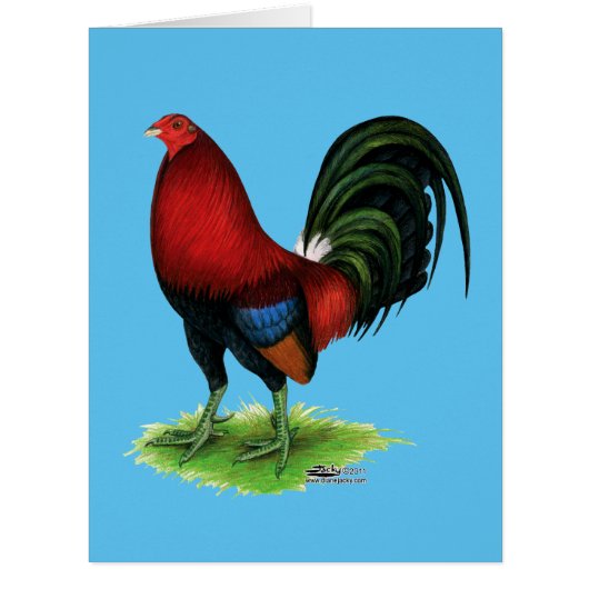 Gamecock:  Dark Red (Front)