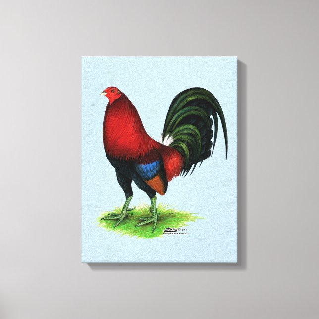 Gamecock:  Dark Red Canvas Print (Front)