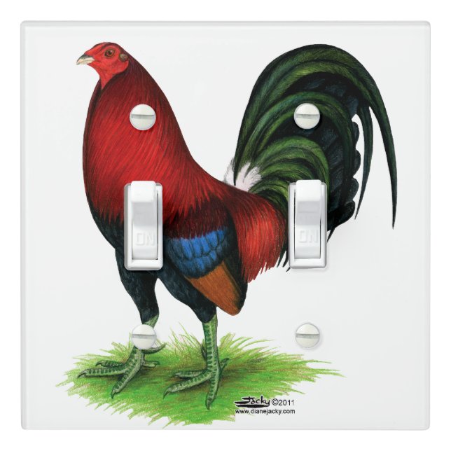 Gamecock:  Dark Red Light Switch Cover (In Situ)