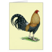 Gamecock: Dom or Crele (Front)