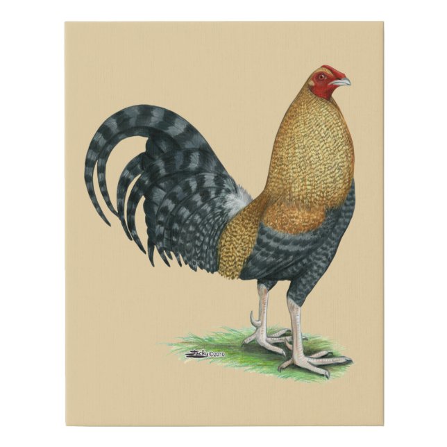 Gamecock:  Dom or Crele Faux Canvas Print (Front)