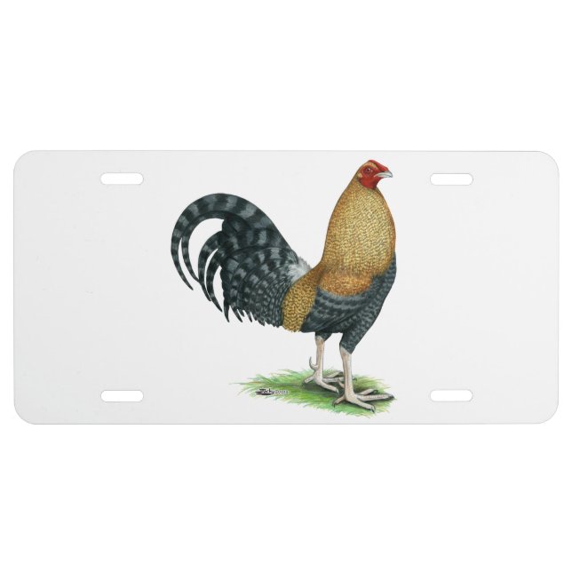 Gamecock:  Dom or Crele License Plate (Front)