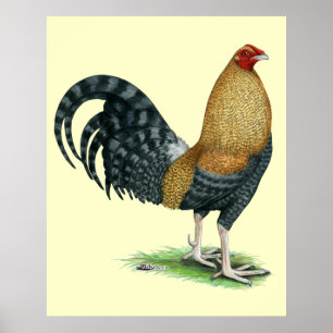 Gamecock: Dom or Crele Poster