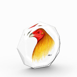 Gamecock Dubbed Award