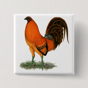 Gamecock Ginger Red Rooster Pinback Button