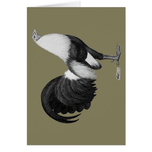 Gamecock Grey Duckwing Cards (Front)
