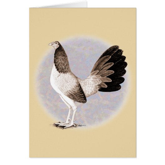 Gamecock:  Hennie (Front)