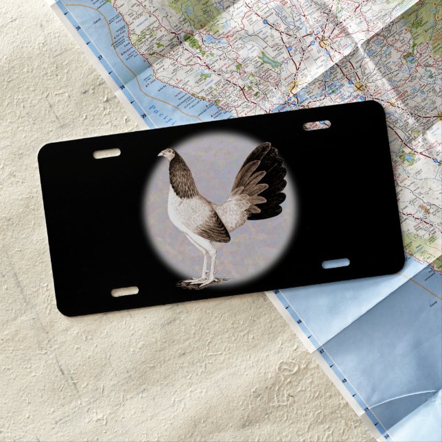 Gamecock:  Hennie License Plate (In Situ)