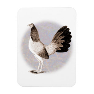 Gamecock: Hennie Magnet