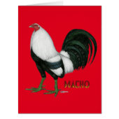 Gamecock Macho Duckwing (Front)