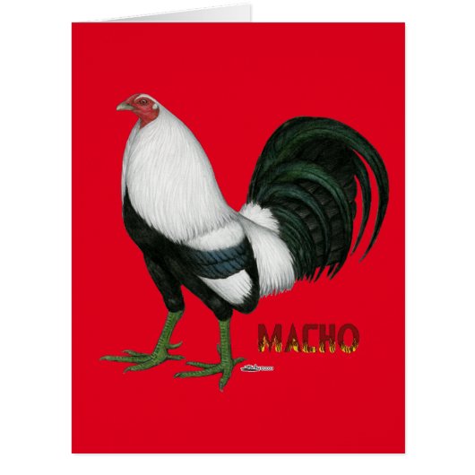 Gamecock Macho Duckwing Cards (Front)