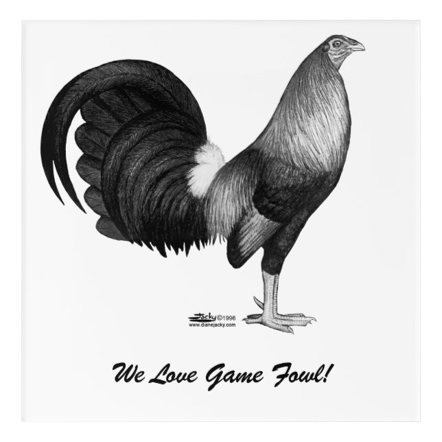 Gamecock Red Hatch Acrylic Print (Front)