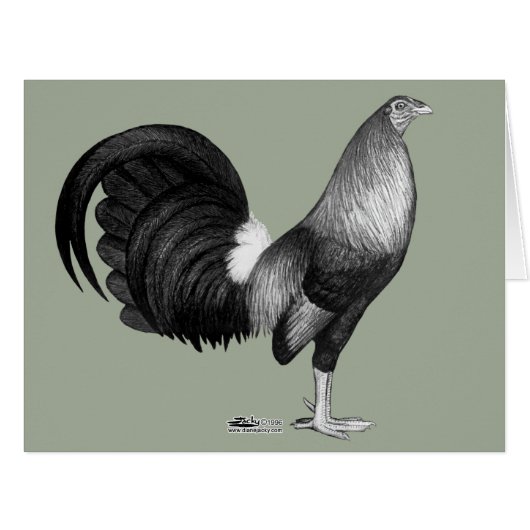 Gamecock Red Hatch Cards (Front Horizontal)