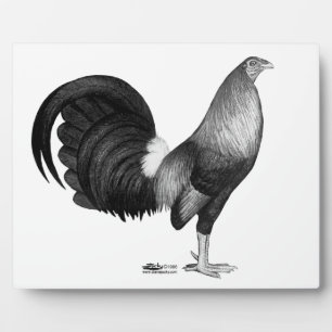 Gamecock Red Hatch Plaque