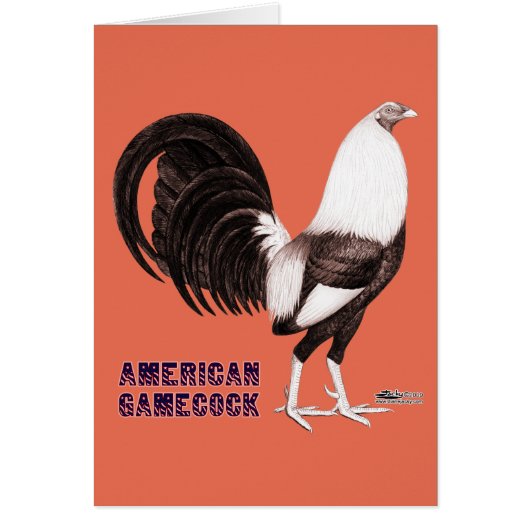 Gamecock Sepia Cards (Front)
