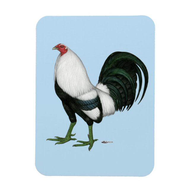 Gamecock Silver Duckwing Magnet (Vertical)