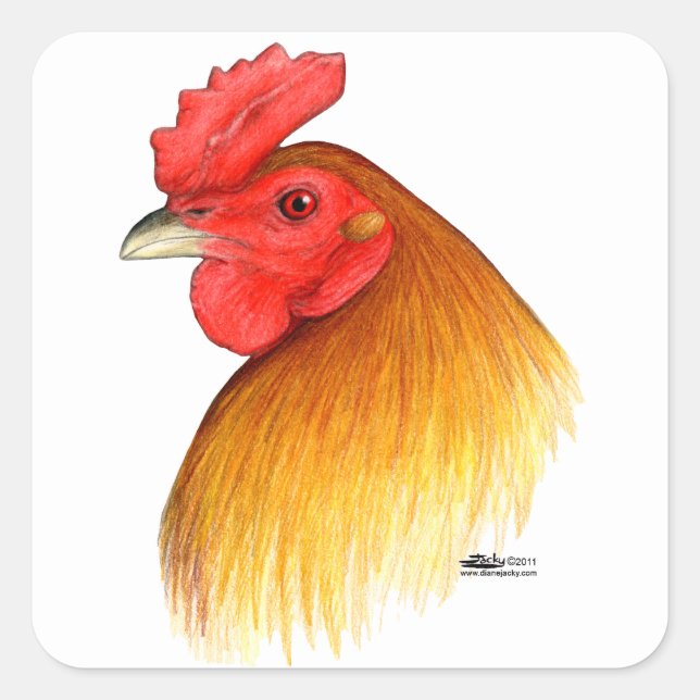 Gamecock Stag Pea Comb Square Sticker (Front)