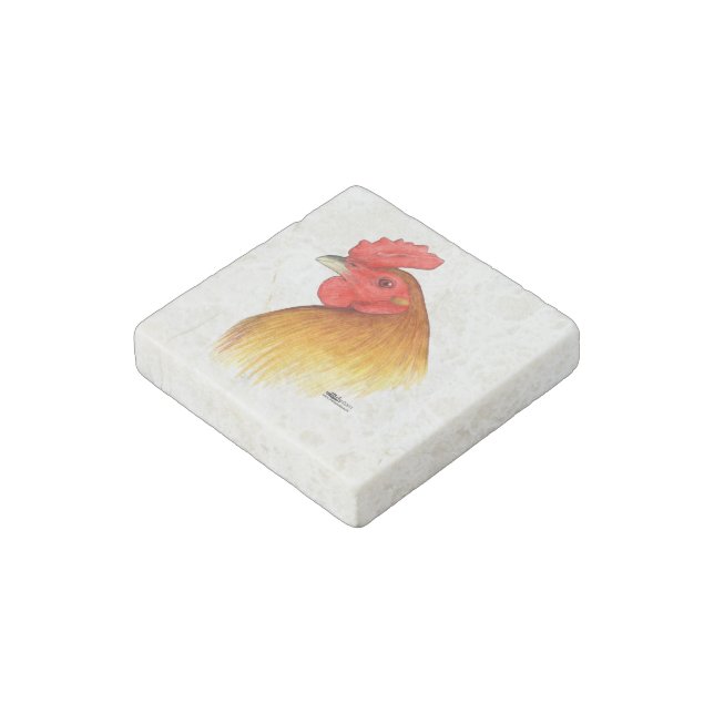 Gamecock Stag Pea Comb Stone Magnet (Angled)
