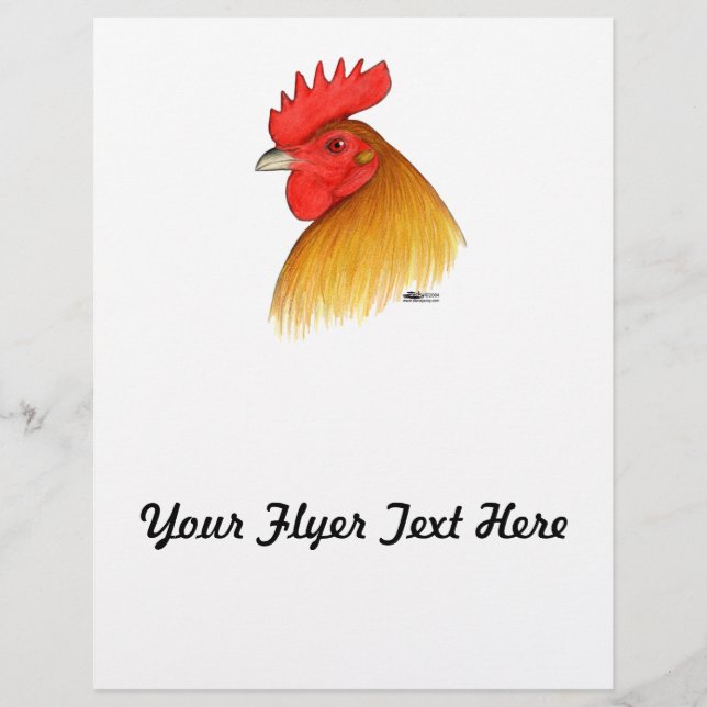 Gamecock Stag Single Comb Flyer (Front)