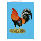 Gamecock Wheaten Rooster (Front)