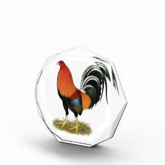 Gamecock Wheaten Rooster Award