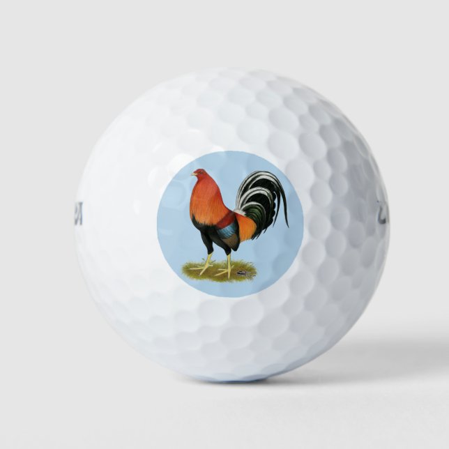 Gamecock Wheaten Rooster Golf Balls (Front)