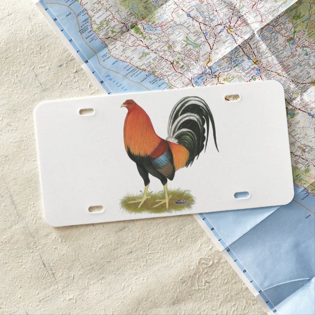 Gamecock Wheaten Rooster License Plate (In Situ)