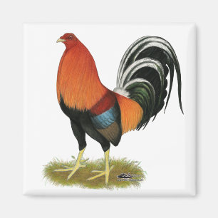 Gamecock Wheaten Rooster Magnet