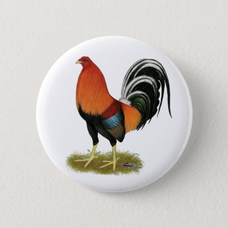 Gamecock Wheaten Rooster Pinback Button