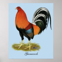 Gamecock Wheaten Rooster Poster