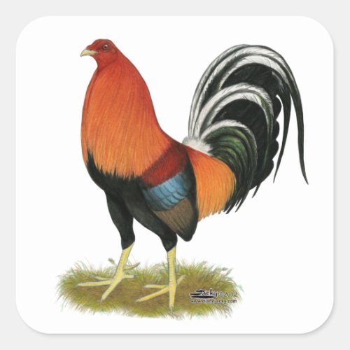 Gamecock Wheaten Rooster Square Sticker