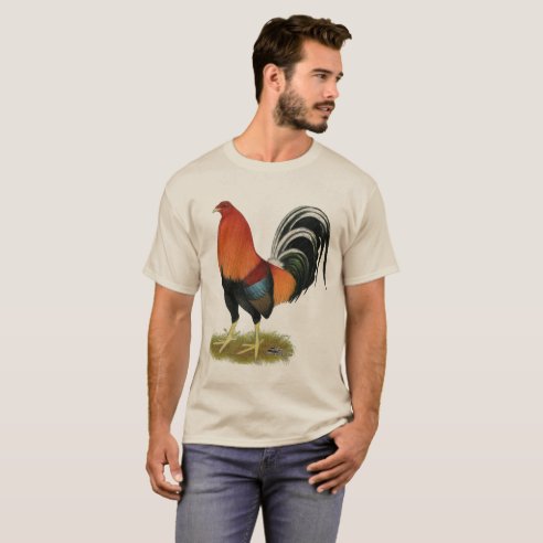 gamecock t shirts