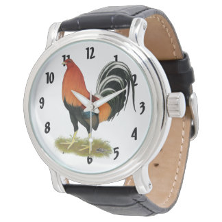 Gamecock Wheaten Rooster Watch