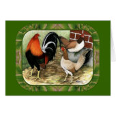 Gamefowl On the Farm (Front Horizontal)