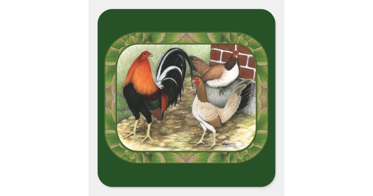 Gamefowl On the Farm Square Sticker | Zazzle
