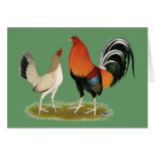 Gamefowl Wheatens (Front Horizontal)