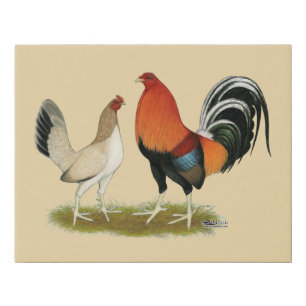 Gamefowl Wheatens Faux Canvas Print