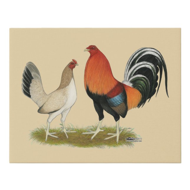 Gamefowl Wheatens Faux Canvas Print (Front)